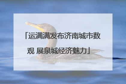 运满满发布济南城市数观 展泉城经济魅力