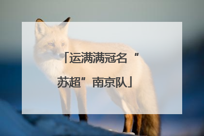 运满满冠名“苏超”南京队