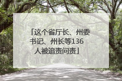 这个省厅长、州委书记、州长等136人被追责问责