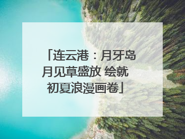 连云港：月牙岛月见草盛放 绘就初夏浪漫画卷