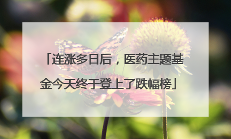 连涨多日后，医药主题基金今天终于登上了跌幅榜