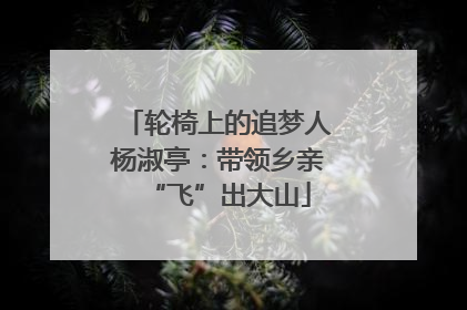 轮椅上的追梦人杨淑亭：带领乡亲“飞”出大山