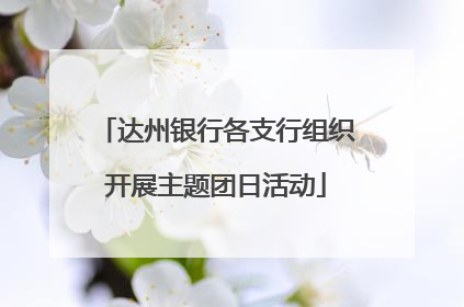 达州银行各支行组织开展主题团日活动
