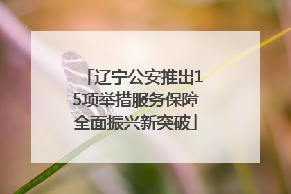 辽宁公安推出15项举措服务保障全面振兴新突破