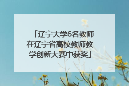 辽宁大学6名教师在辽宁省高校教师教学创新大赛中获奖