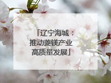 辽宁海城：推动菱镁产业高质量发展