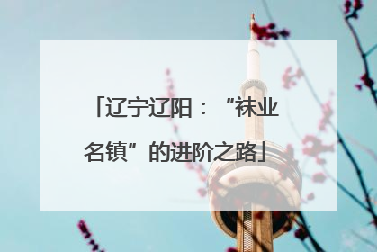 辽宁辽阳：“袜业名镇”的进阶之路