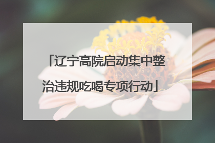 辽宁高院启动集中整治违规吃喝专项行动