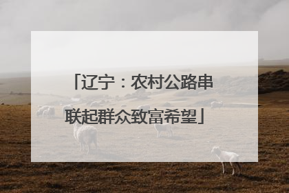 辽宁：农村公路串联起群众致富希望