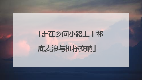 走在乡间小路上丨祁底麦浪与机杼交响
