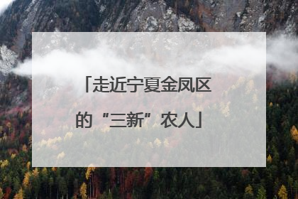 走近宁夏金凤区的“三新”农人