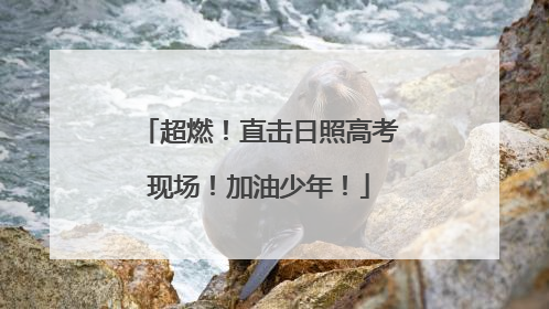 超燃！直击日照高考现场！加油少年！