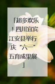 超多欢乐！四川宜宾江安县举行庆“六一”五育成果展