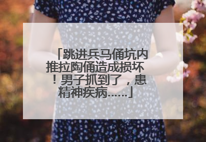 跳进兵马俑坑内推拉陶俑造成损坏！男子抓到了，患精神疾病……
