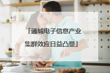 通城电子信息产业集群效应日益凸显