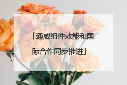 通威组件效能和国际合作同步推进