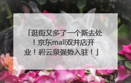 逛街又多了一个新去处！京东mall双井店开业！碧云泉强势入驻！