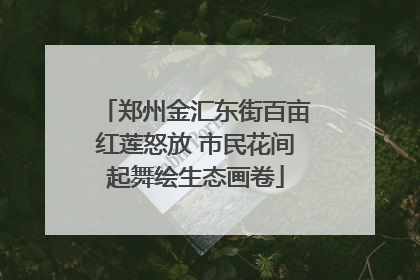 郑州金汇东街百亩红莲怒放 市民花间起舞绘生态画卷