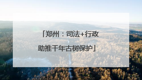 郑州：司法+行政助推千年古树保护