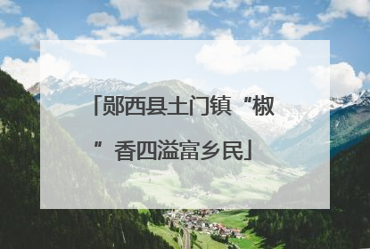 郧西县土门镇“椒”香四溢富乡民