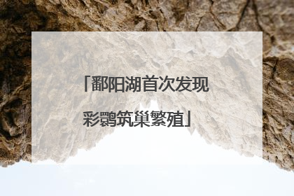 鄱阳湖首次发现彩鹮筑巢繁殖