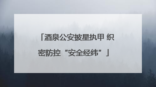 酒泉公安披星执甲 织密防控“安全经纬”