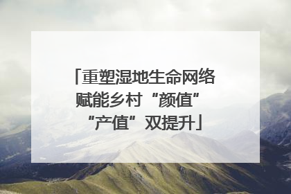 重塑湿地生命网络 赋能乡村“颜值”“产值”双提升