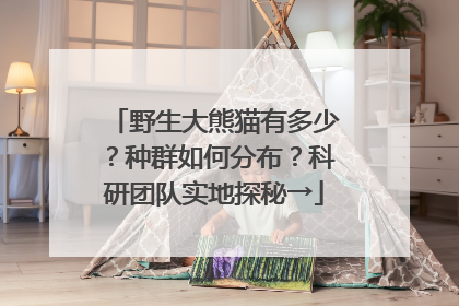 野生大熊猫有多少？种群如何分布？科研团队实地探秘→