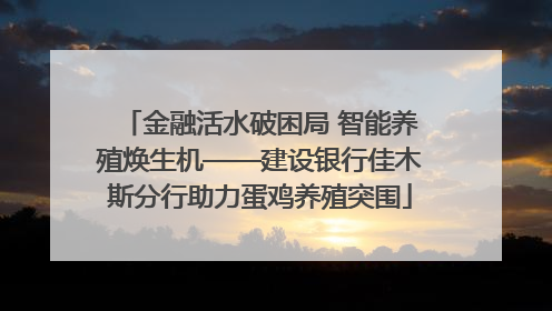 金融活水破困局 智能养殖焕生机——建设银行佳木斯分行助力蛋鸡养殖突围