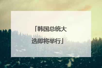 韩国总统大选即将举行