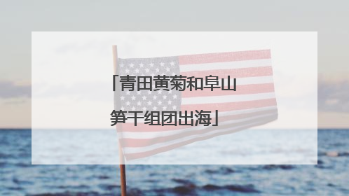 青田黄菊和阜山笋干组团出海