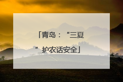 青岛：“三夏”护农话安全
