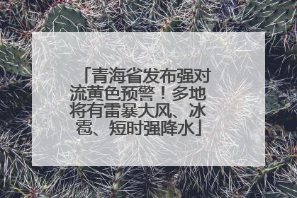 青海省发布强对流黄色预警！多地将有雷暴大风、冰雹、短时强降水