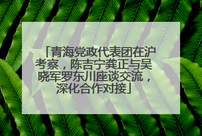 青海党政代表团在沪考察，陈吉宁龚正与吴晓军罗东川座谈交流，深化合作对接