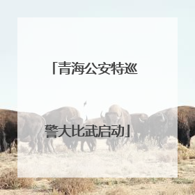 青海公安特巡警大比武启动