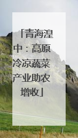 青海湟中：高原冷凉蔬菜产业助农增收