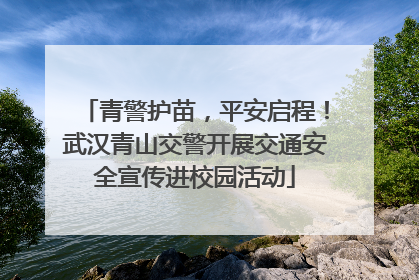 青警护苗，平安启程！武汉青山交警开展交通安全宣传进校园活动