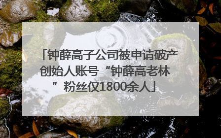 钟薛高子公司被申请破产 创始人账号“钟薛高老林”粉丝仅1800余人