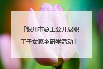 银川市总工会开展职工子女家乡研学活动