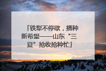 铁犁不停歇，播种新希望——山东“三夏”抢收抢种忙