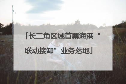 长三角区域首票海港“联动接卸”业务落地