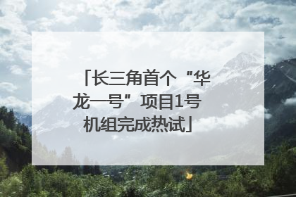 长三角首个“华龙一号”项目1号机组完成热试
