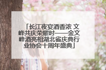 长江夜宴酒香浓 文峰共庆荣耀时——金文峰酒亮相湖北省庆典行业协会十周年盛典