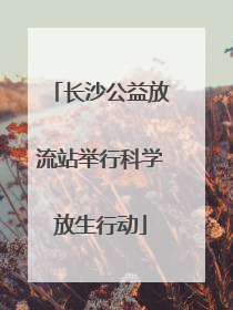 长沙公益放流站举行科学放生行动