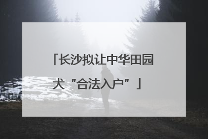 长沙拟让中华田园犬“合法入户”