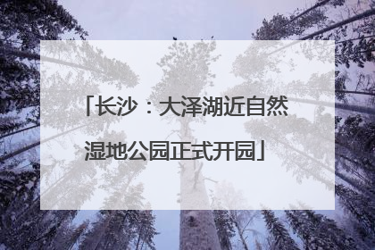 长沙：大泽湖近自然湿地公园正式开园
