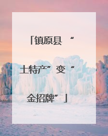 镇原县 “土特产”变“金招牌”