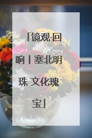 镜观·回响丨塞北明珠 文化瑰宝
