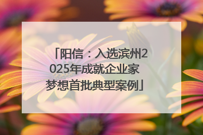 阳信：入选滨州2025年成就企业家梦想首批典型案例