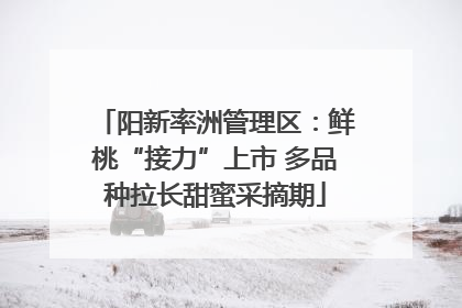 阳新率洲管理区：鲜桃“接力”上市 多品种拉长甜蜜采摘期